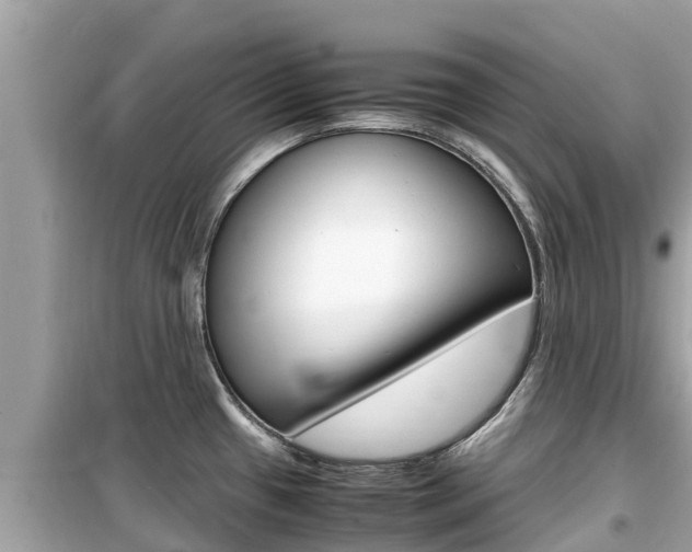 X0000099941433200805231011