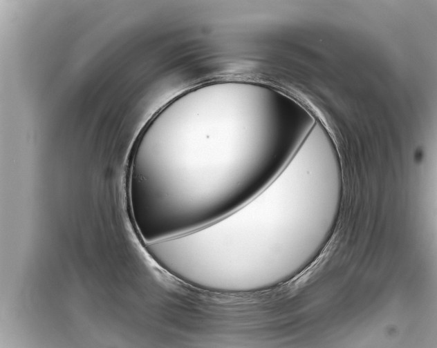 X0000099941434200805231011