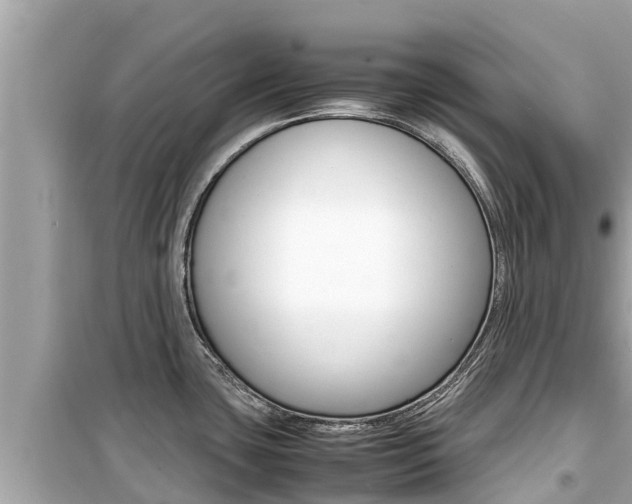 X0000099941435200805231011