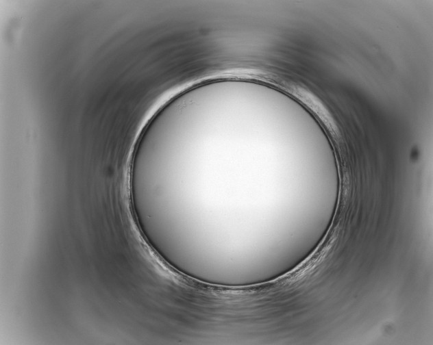 X0000099941436200805231011