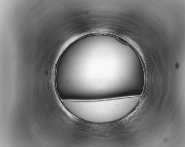 X0000099941437200805231011
