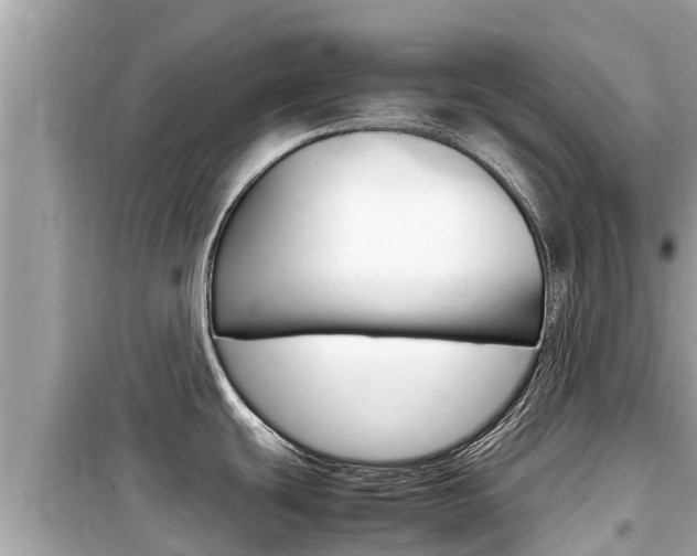 X0000099941439200805231011