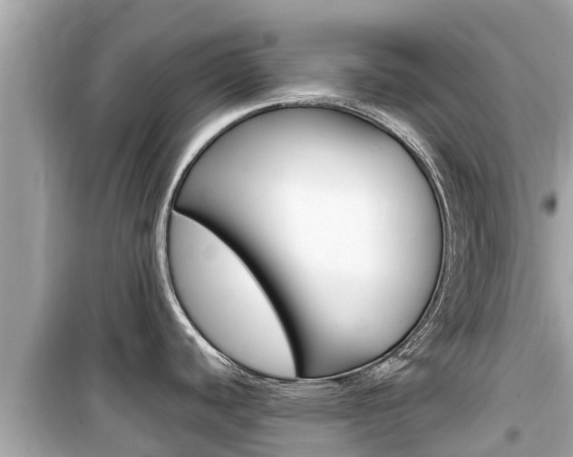 X0000099941440200805231011