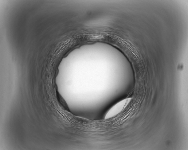 X0000099941441200805231010