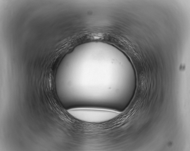X0000099941442200805231010