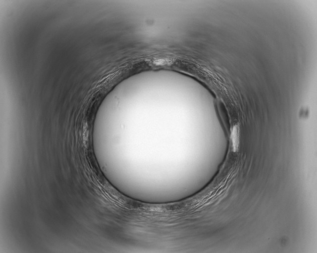 X0000099941443200805231010