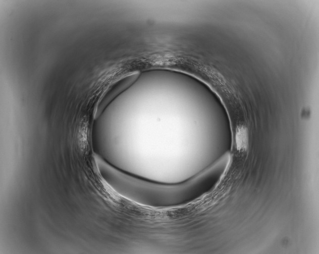 X0000099941444200805231010
