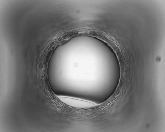 X0000099941445200805231010