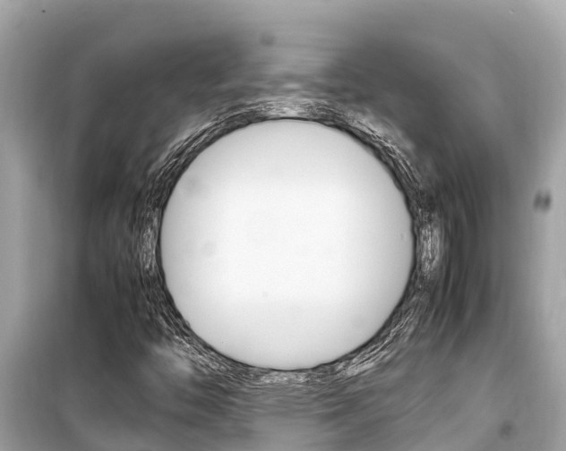 X0000099941446200805231010