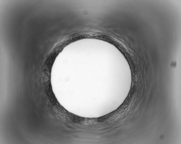 X0000099941447200805231010