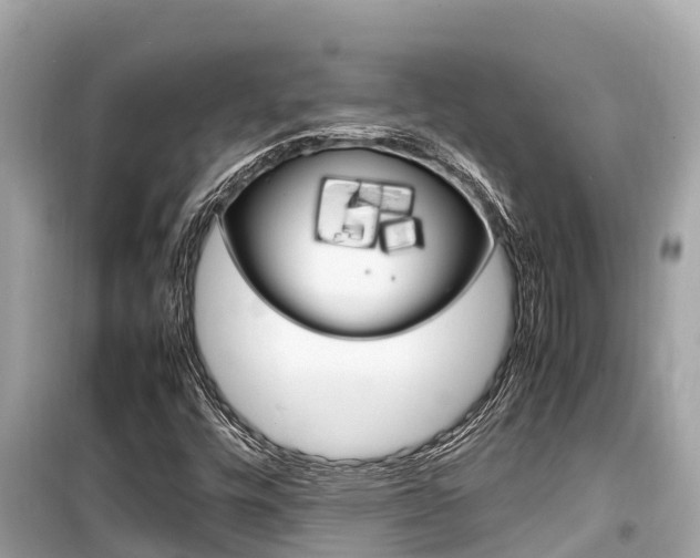 X0000099941448200805231010