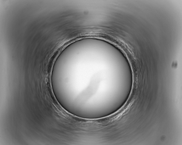 X0000099941449200805231010