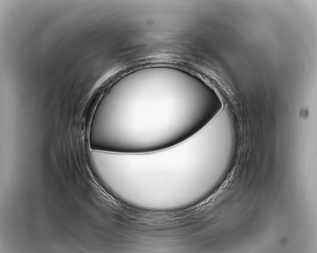 X0000099941450200805231010