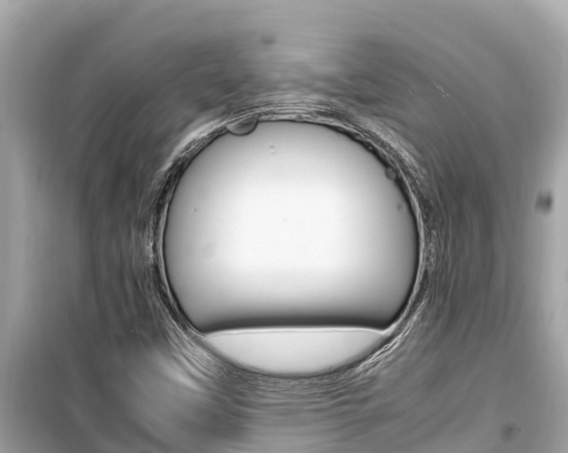 X0000099941451200805231010