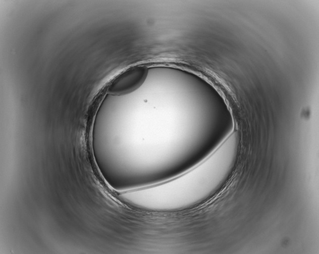 X0000099941452200805231010