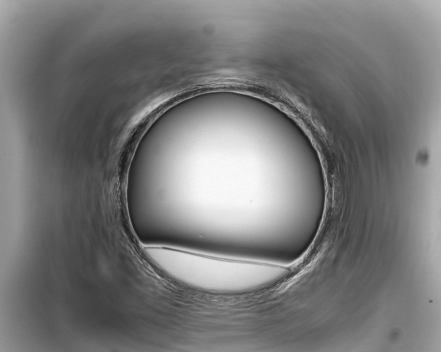 X0000099941453200805231010