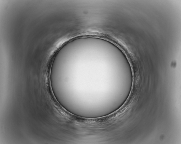 X0000099941455200805231010
