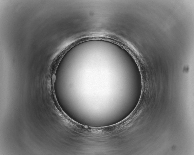 X0000099941456200805231010
