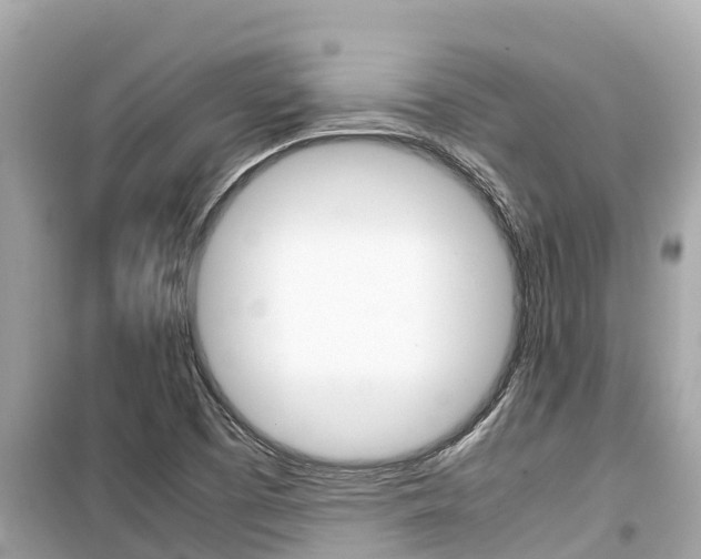 X0000099941457200805231010