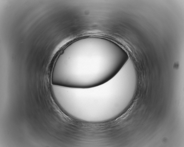 X0000099941458200805231010