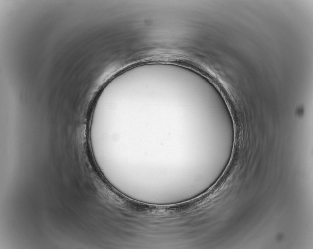 X0000099941459200805231010