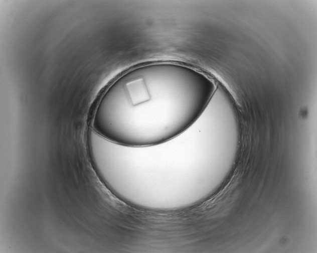 X0000099941460200805231010