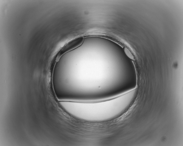 X0000099941461200805231010