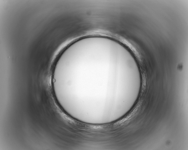 X0000099941462200805231010