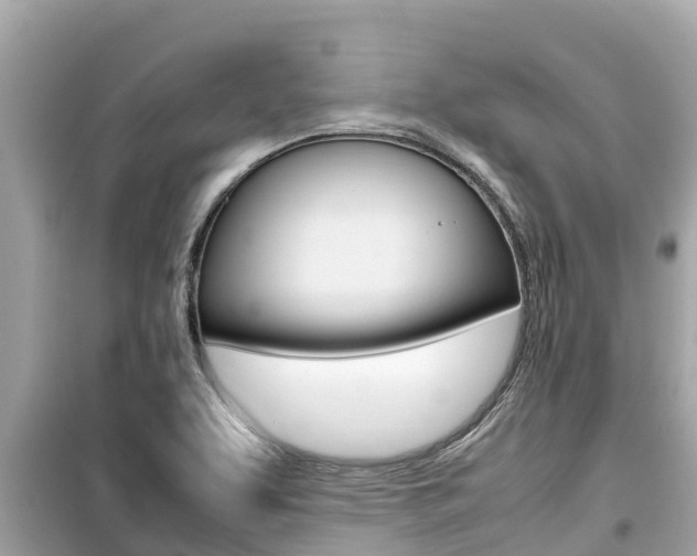 X0000099941463200805231010