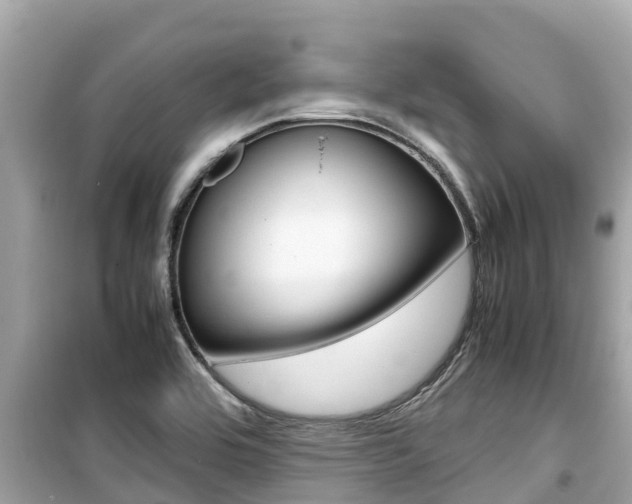 X0000099941464200805231010