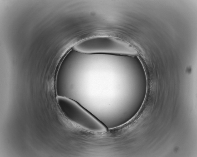 X0000099941465200805231010