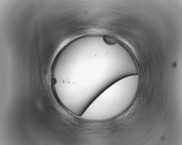 X0000099941467200805231010