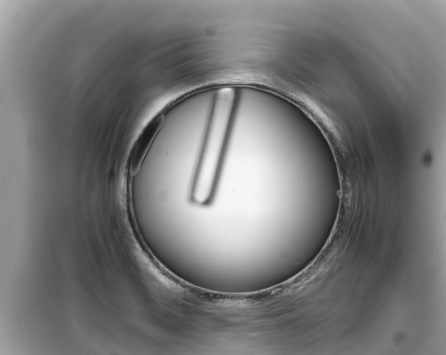 X0000099941468200805231010