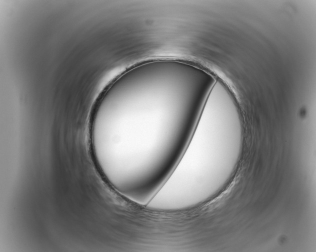 X0000099941469200805231010