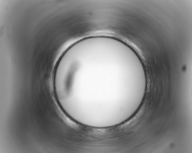 X0000099941470200805231010