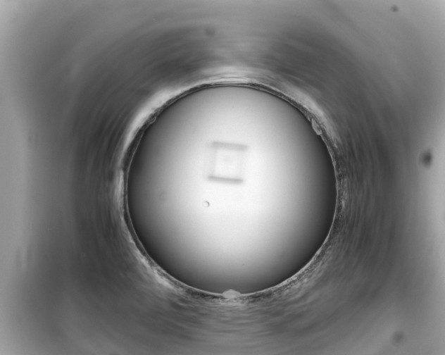 X0000099941472200805231010