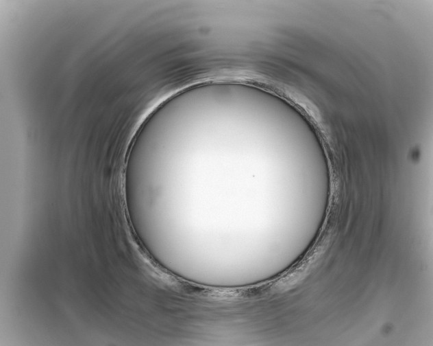 X0000099941473200805231010