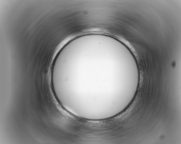 X0000099941474200805231010