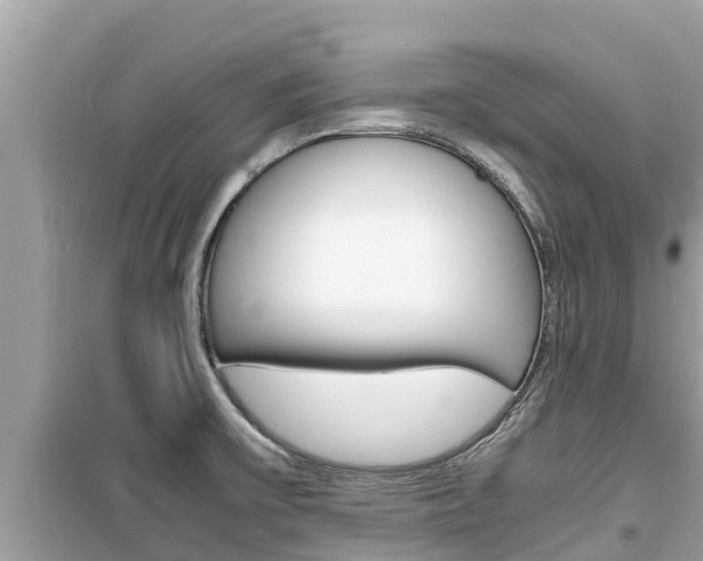 X0000099941475200805231010