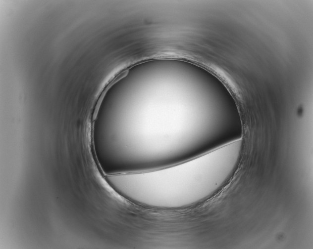 X0000099941476200805231010