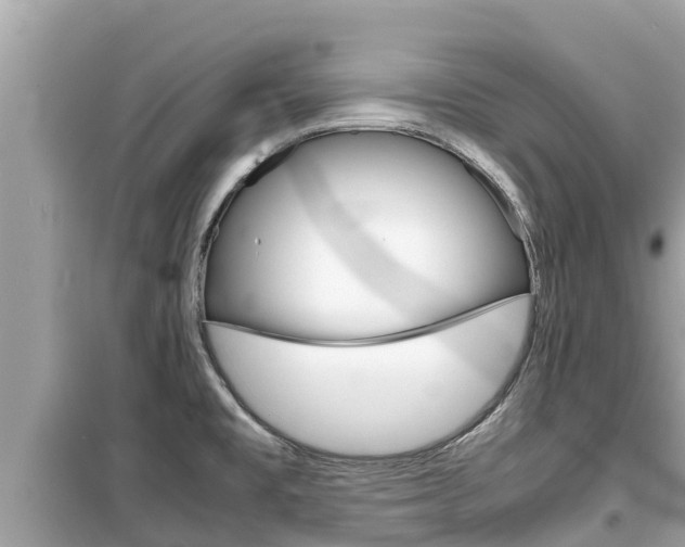 X0000099941477200805231010