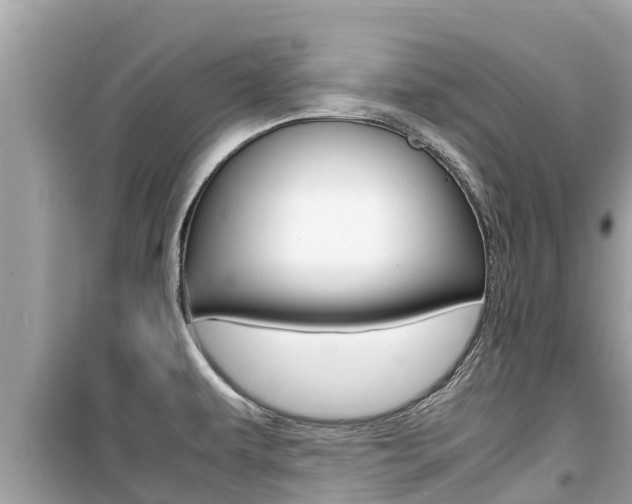 X0000099941479200805231010