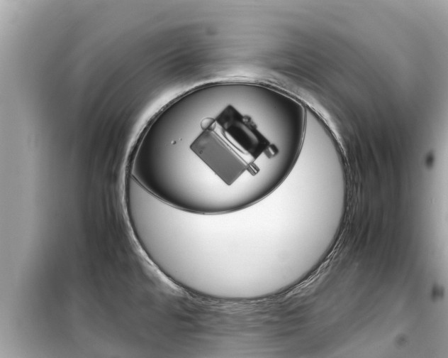 X0000099941480200805231010