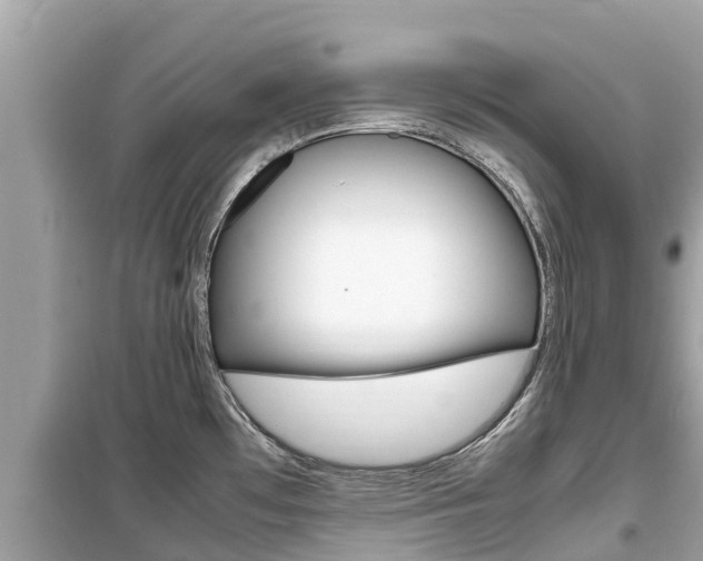X0000099941481200805231010