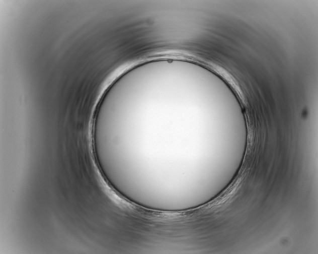 X0000099941482200805231010