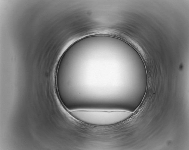 X0000099941483200805231010