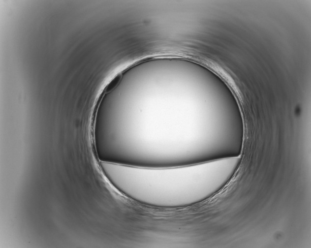 X0000099941485200805231010
