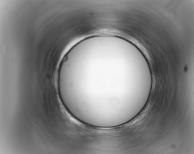 X0000099941486200805231010
