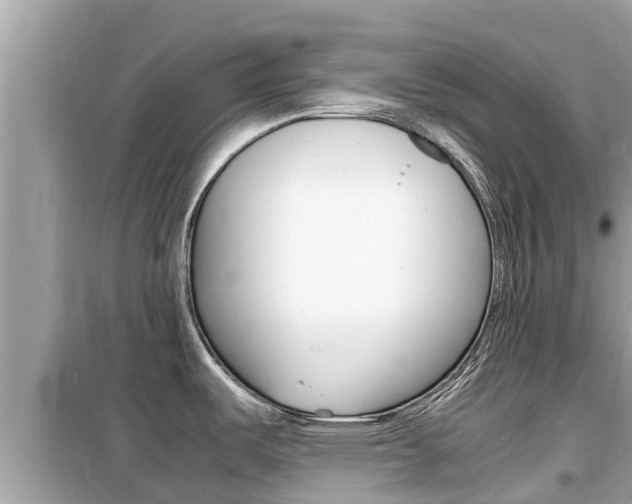 X0000099941487200805231009