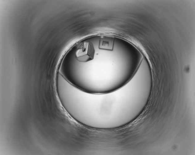 X0000099941488200805231009